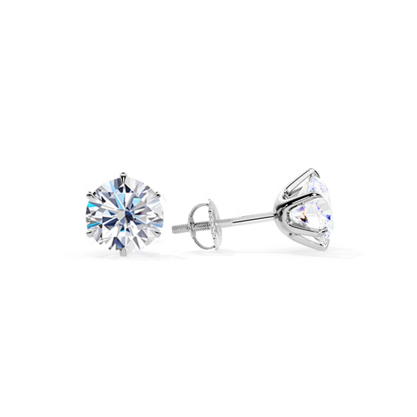 Chic White Gold Tera Earrings /